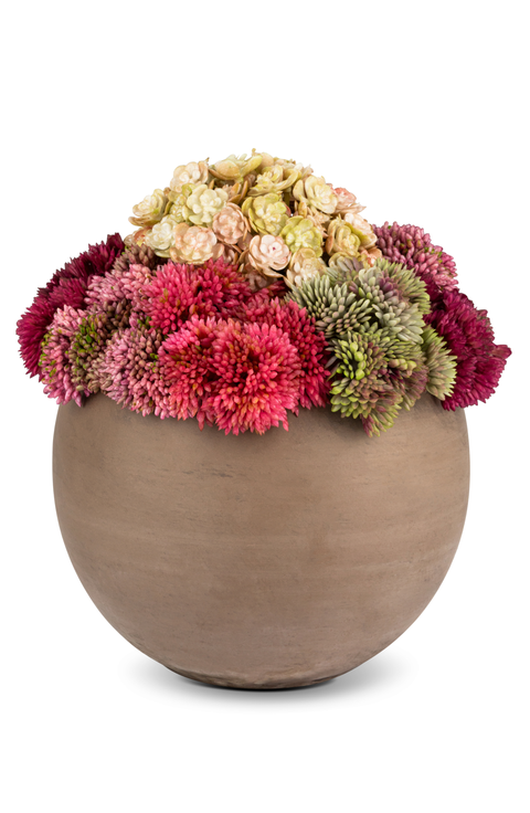 Elias Sedum Arrangement