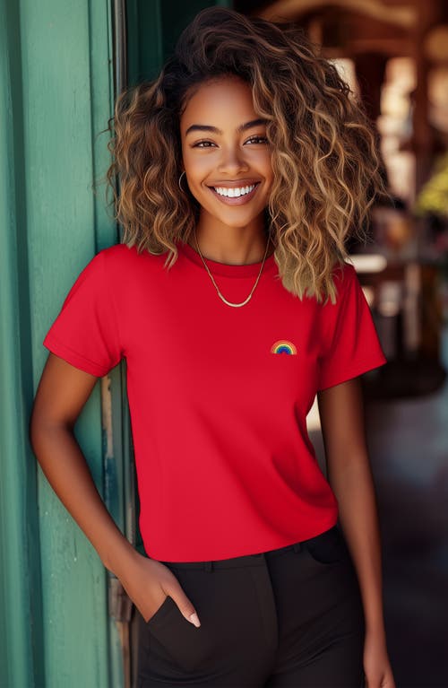 Dalix Womens Rainbow Jersey Relaxed Tee