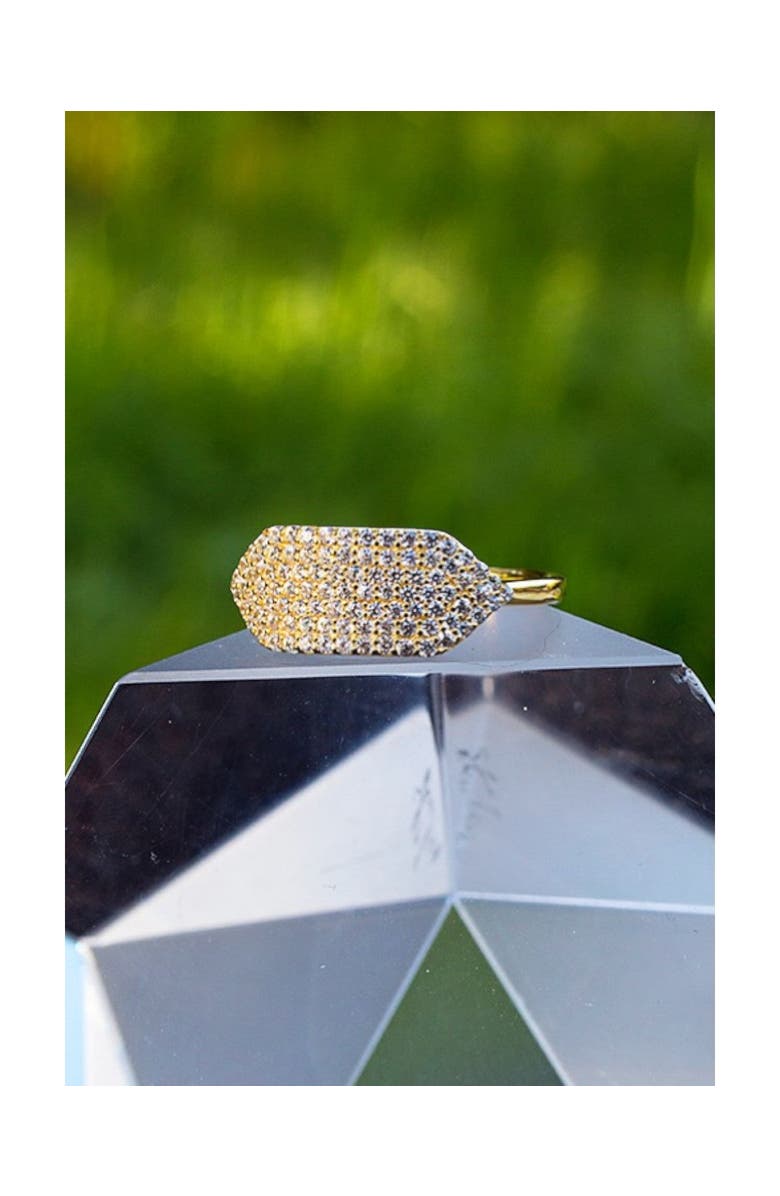 NATIVE GEM Id Ring, Alternate, color, Gold