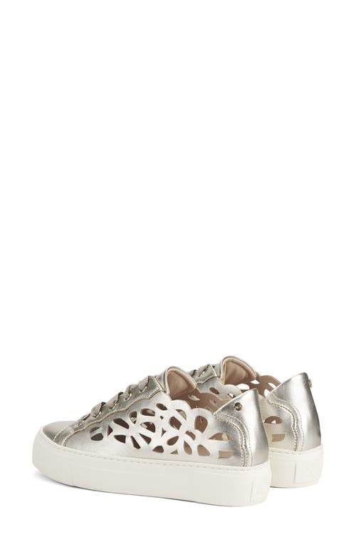 Agl Attilio Giusti Leombruni Agl Mandi Cutout Platform Sneaker In Sandy-milk