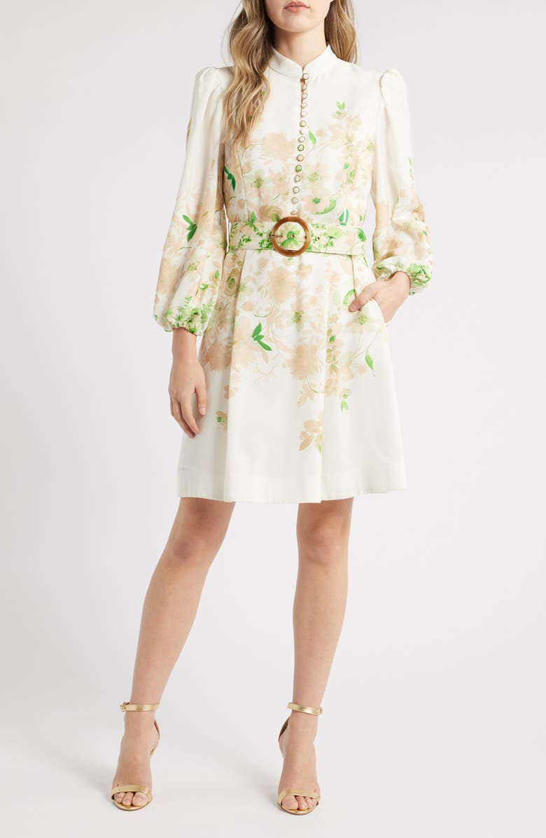 Tahari ASL Border Print Belted Long Sleeve Dress, Main, color, Ivory Fern