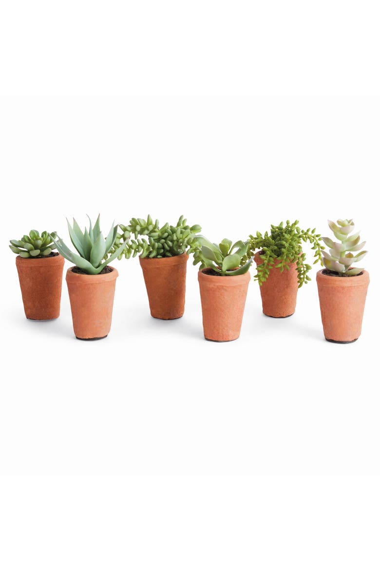 Potted Green Ceramic Succulents 8.5" Set of 6, Main, color, Green