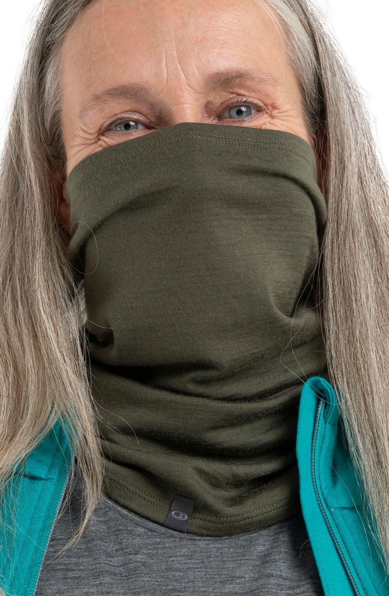 Icebreaker Oasis Flexi Chute Neck Gaiter, Alternate, color,