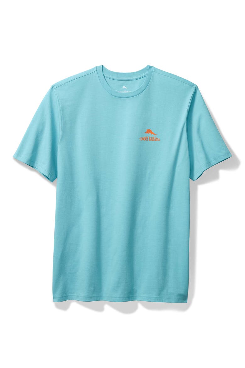 All Day Parking Cotton Graphic T-Shirt, Main, color, MILKY BLUE