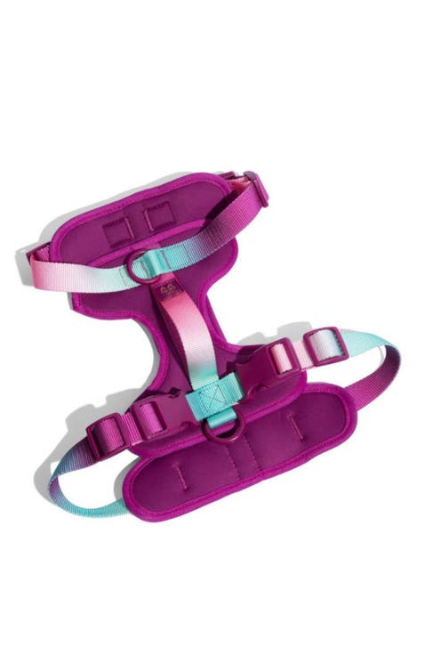Joana Dog Harness