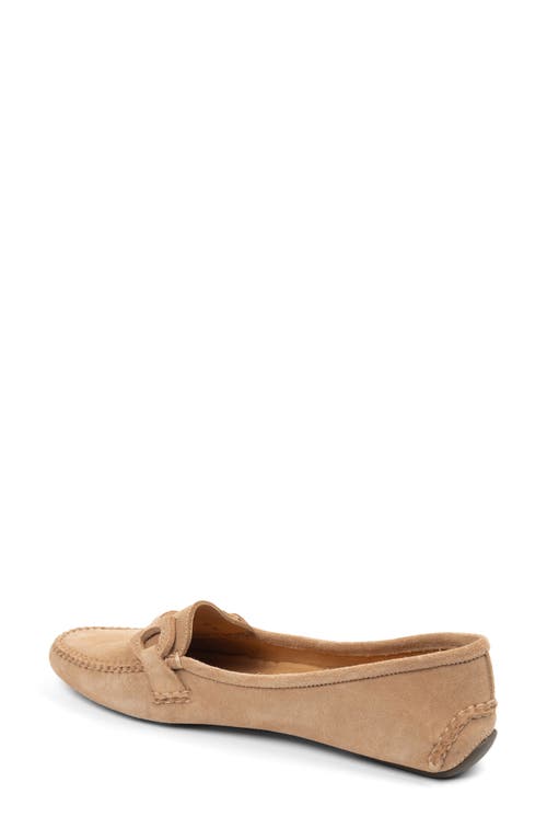 Shop Patricia Green Jane Bit Loafer In Tan Suede