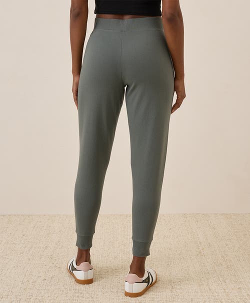 Shop Pact Organic Cotton Airplane Jogger In Castor Grey