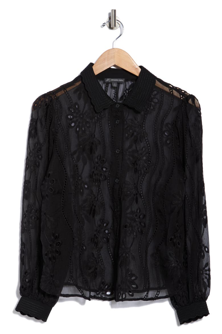 Long Sleeve Sheer Floral Eyelet Lace Button-Up Top, Alternate, color, BLACK