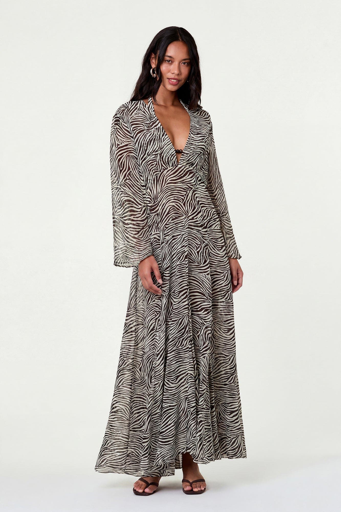 Graphic Zebra