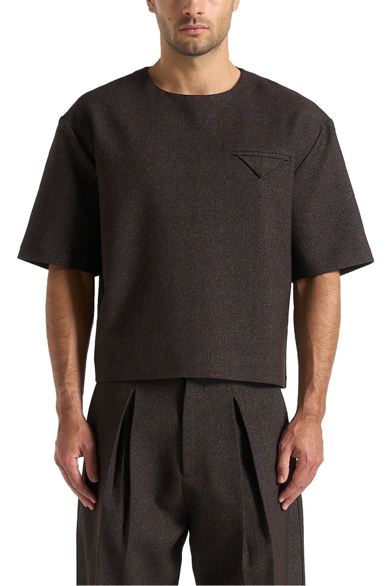 Leon Boxy Cropped Hatched T-Shirt, Alternate, color, Brown