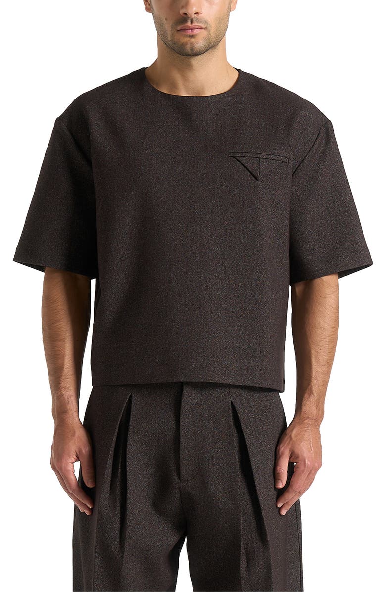 Manière De Voir Leon Boxy Cropped Hatched T-Shirt, Alternate, color, Brown