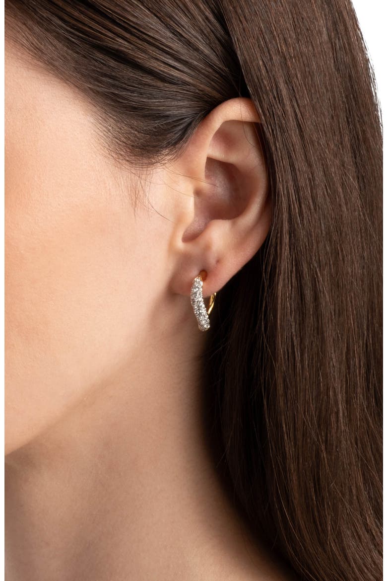 Solanales Crystal Twist Mini Hoop Earrings, Alternate, color, CRYSTALS