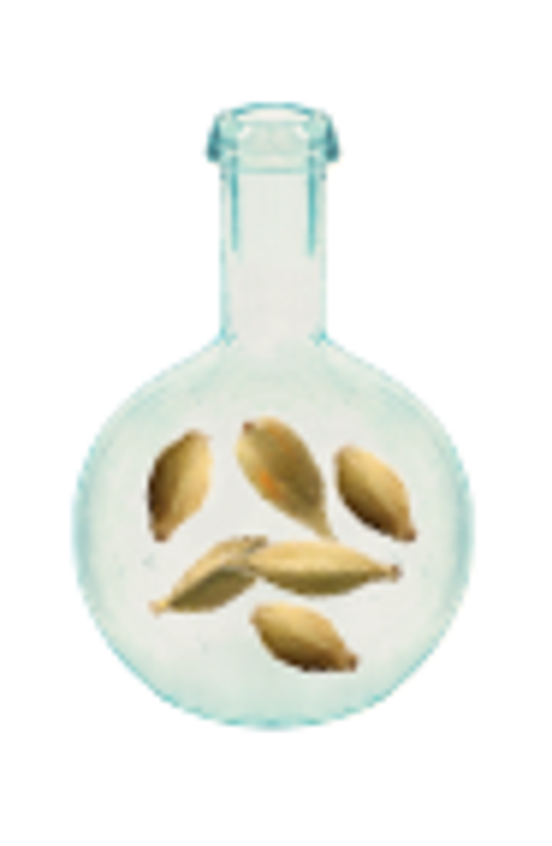 GRANADO Sândalo & Cardamomo Eau de Cologne 100ml, Alternate, color, Clear