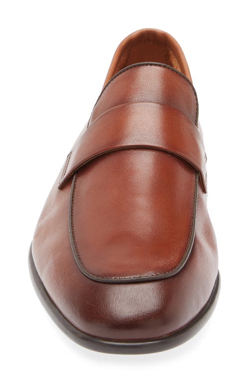 Steve Madden Belleaire Loafer In Brown