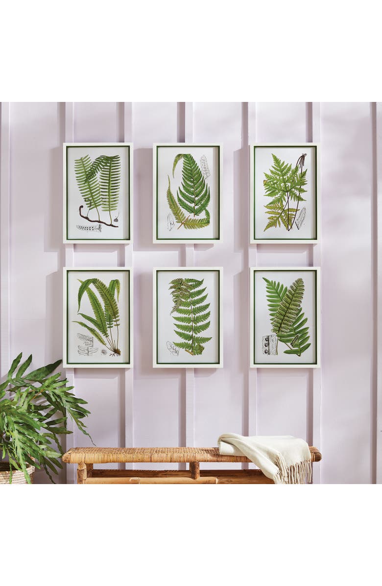 Napa Home & Garden Layered Fern Prints Set of 6, Alternate, color, Green