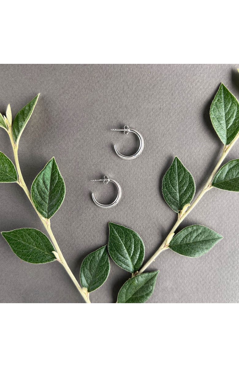 Astor & Orion Crescent Hoops, Alternate, color, Silver