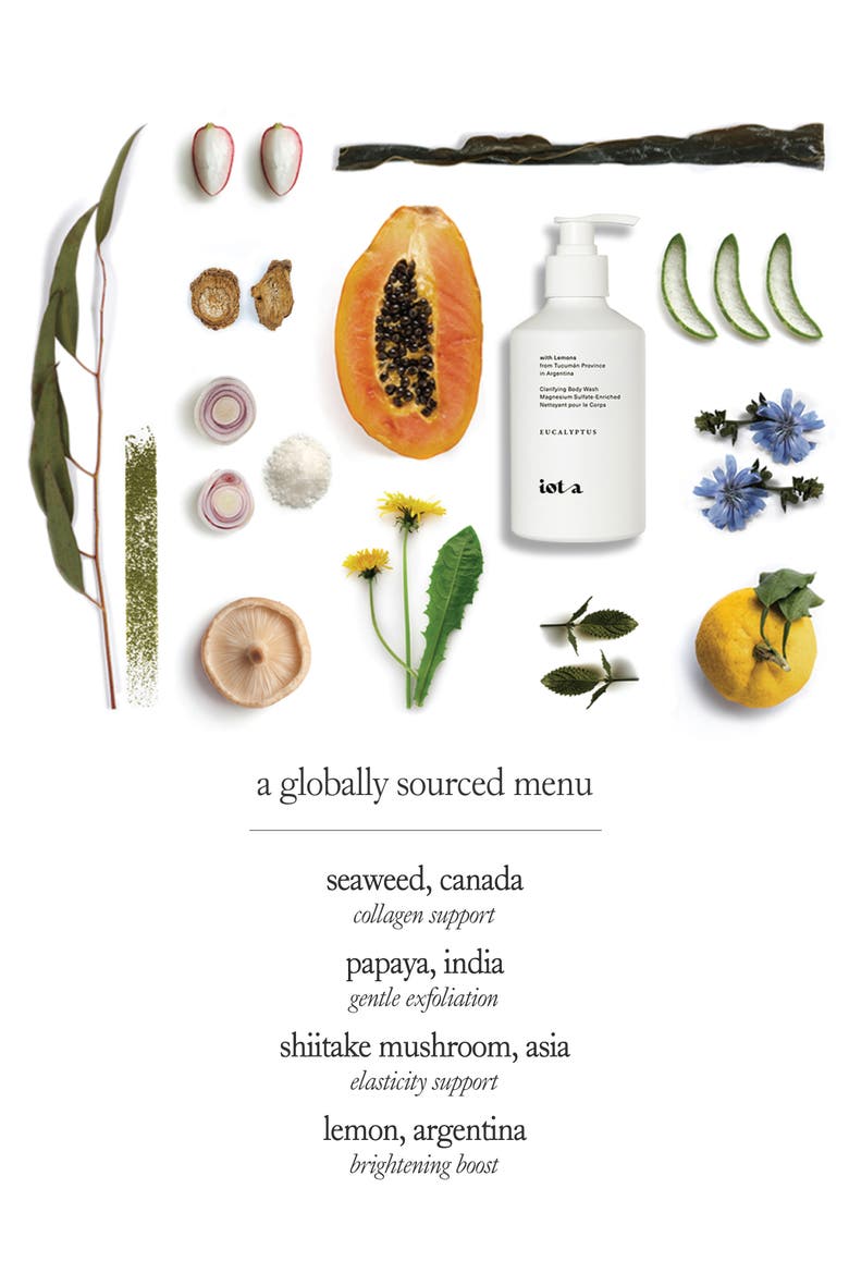 Clarifying Body Wash in Eucalyptus Leaf + Argentine Lemon Rind, Alternate, color, NO COLOR