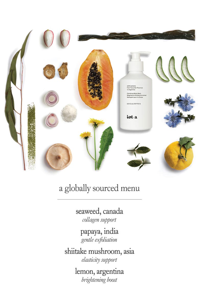 Iota Clarifying Body Wash in Eucalyptus Leaf + Argentine Lemon Rind, Alternate, color,