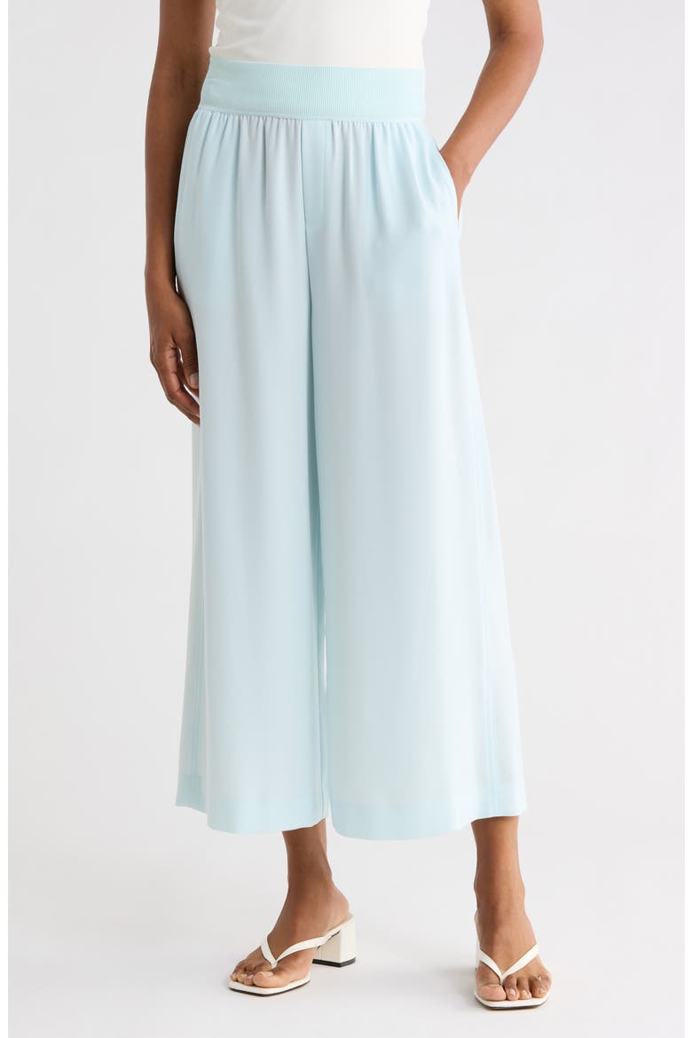 Crop Wide Leg Pull-On Pants, Main, color, SALTWATER