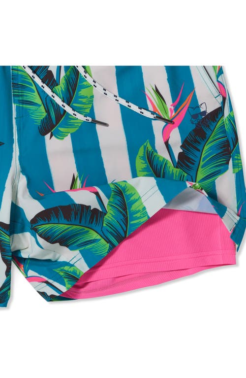 Party Pants Gulf Stripe Sport Swim Trunks In Turquoise