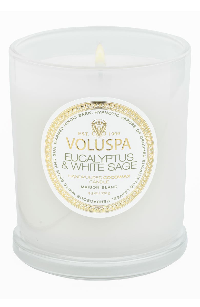 Voluspa Eucalyptus & White Sage Boxed Classic Candle, Alternate, color, Eucalyptus