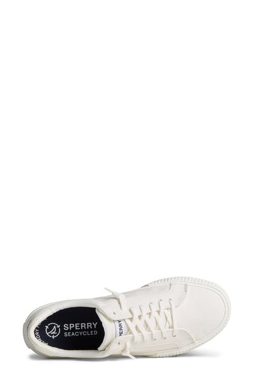 Sperry Top-sider® Bermuda Ltt Sneaker