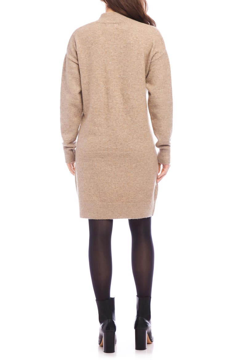 Long Sleeve Sweater Dress, Alternate, color, EARTH