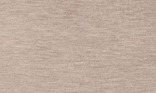 Splendid Long Sleeve Crewneck T-shirt In Brown