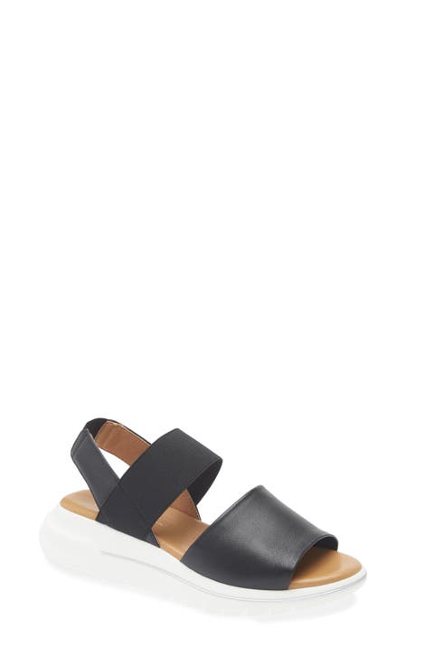 フラットシューズ ^fri fla^ 20A705 black slingback Slingback Flat - Black Suede - Emerson Fry