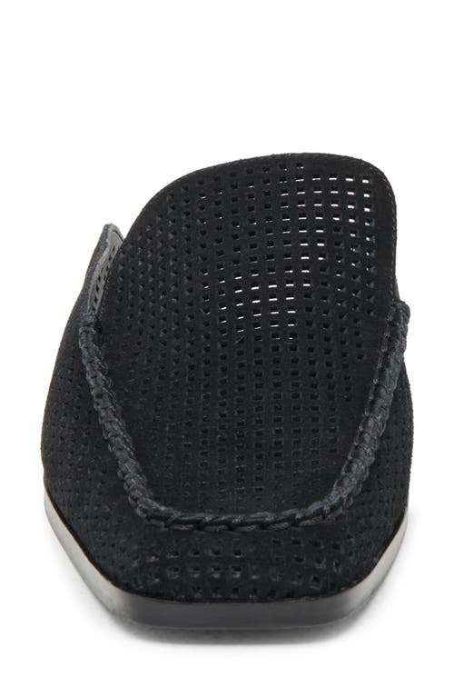 Dolce Vita Brevyn Perforated Mule In Onyx Perforated Suede
