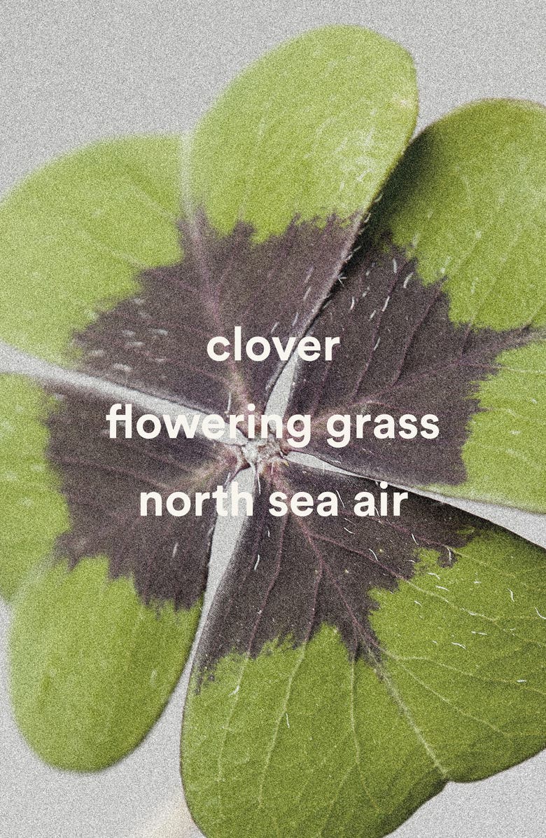 D.S. & Durga Tomb of the Eagles Scented Candle, Alternate, color,