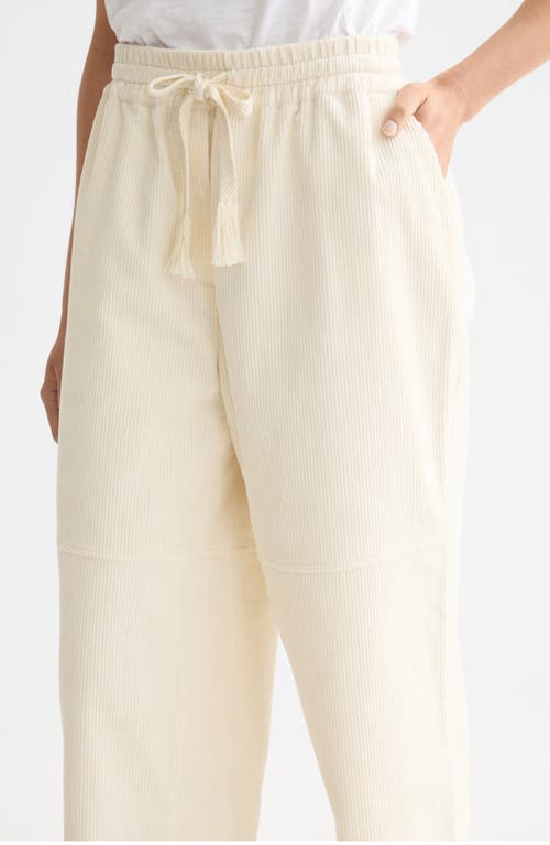 Scotch & Soda Noa High Waist Drawstring Corduroy Pants In Yellow
