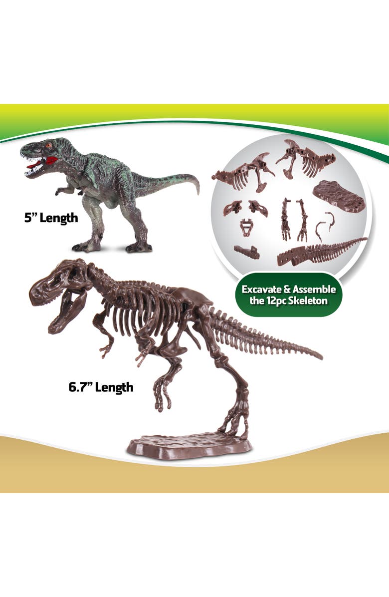 WowWorld Dino Dig Tyrannosaurus Rex Skeleton Excavation Kit, 6+, Alternate, color, Multicolored