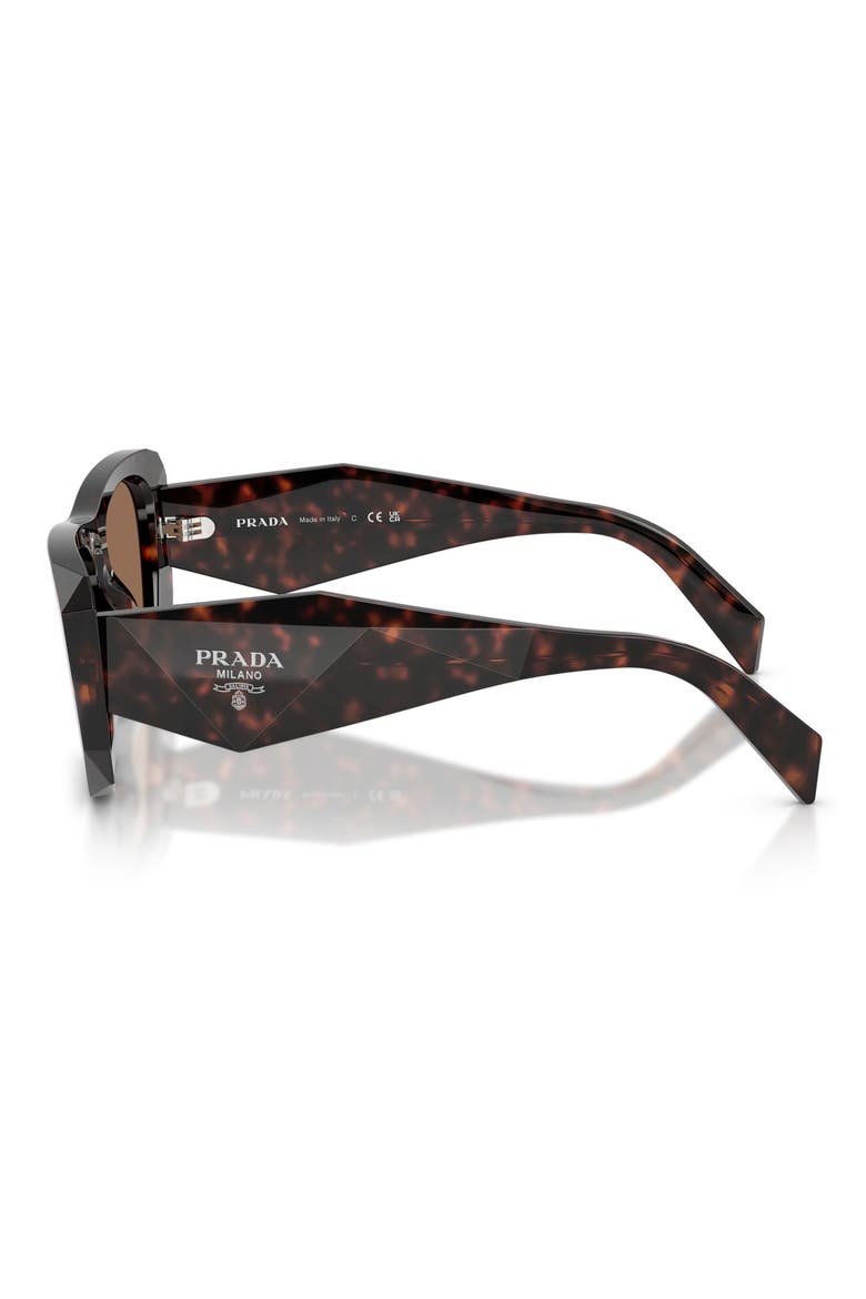53mm Square Sunglasses, Alternate, color, ROOT TORTOISE / DARK BROWN