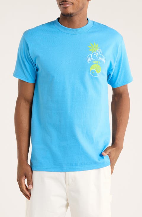 Pledge Allegiance Graphic T-Shirt