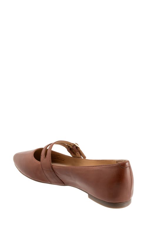 Trotters Emerald Pointed Toe Mary Jane Flat In Luggage