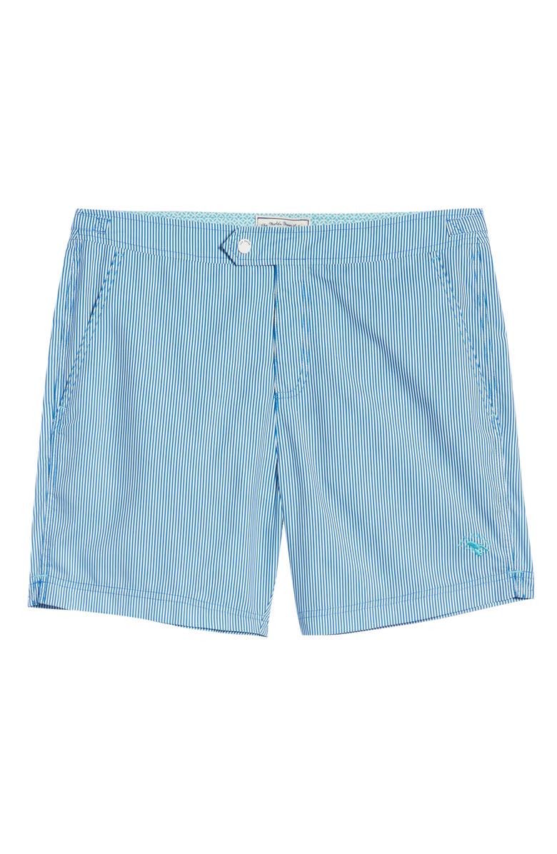 Ted Baker London Seel Stripe Swim Trunks, Alternate, color, 