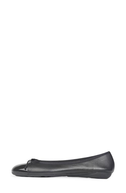Paul Mayer Best Cap Toe Ballet Flat In Black