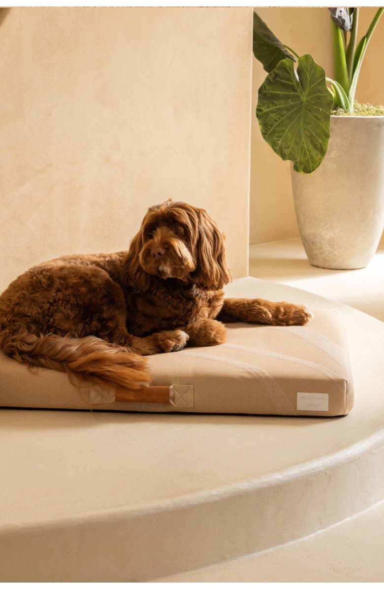 LAY LO Brigette Romanek by LAY LO Luxury Dog Bed, Alternate, color, Taupe