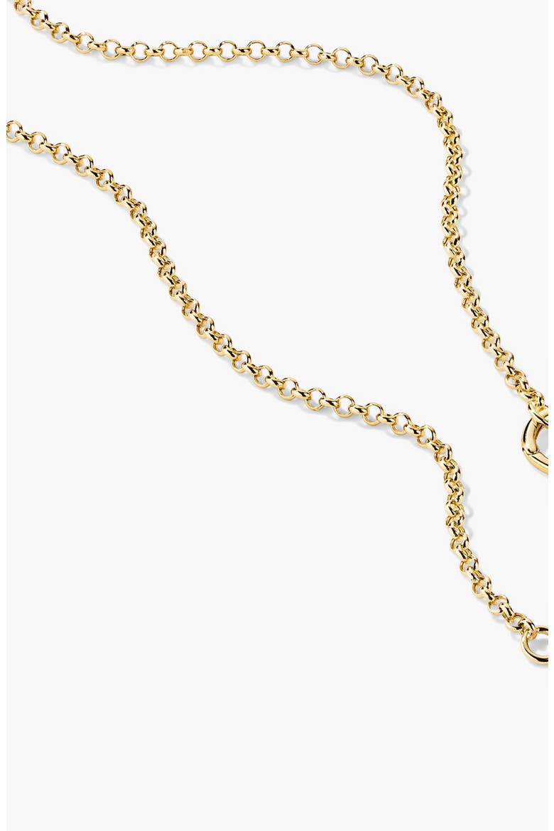 Rolo Chain Charm Necklace, Alternate, color, Yellow Gold
