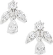 Nadri Olivia Small Drop Earrings