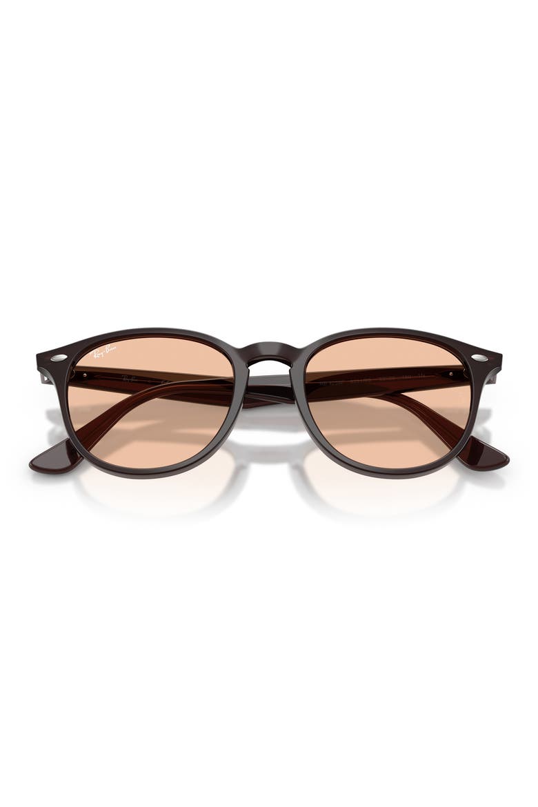 50mm Phantos Sunglasses, Alternate, color, TRANSPARENT BROWN / BROWN