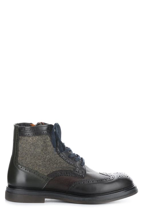 AMBITIOUS AMBITIOUS 12432 WINGTIP BOOT