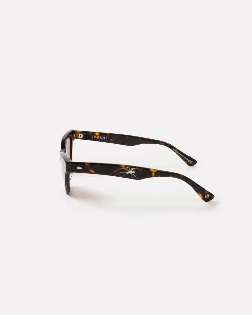 Epokhe Veil Sunglasses In Brown