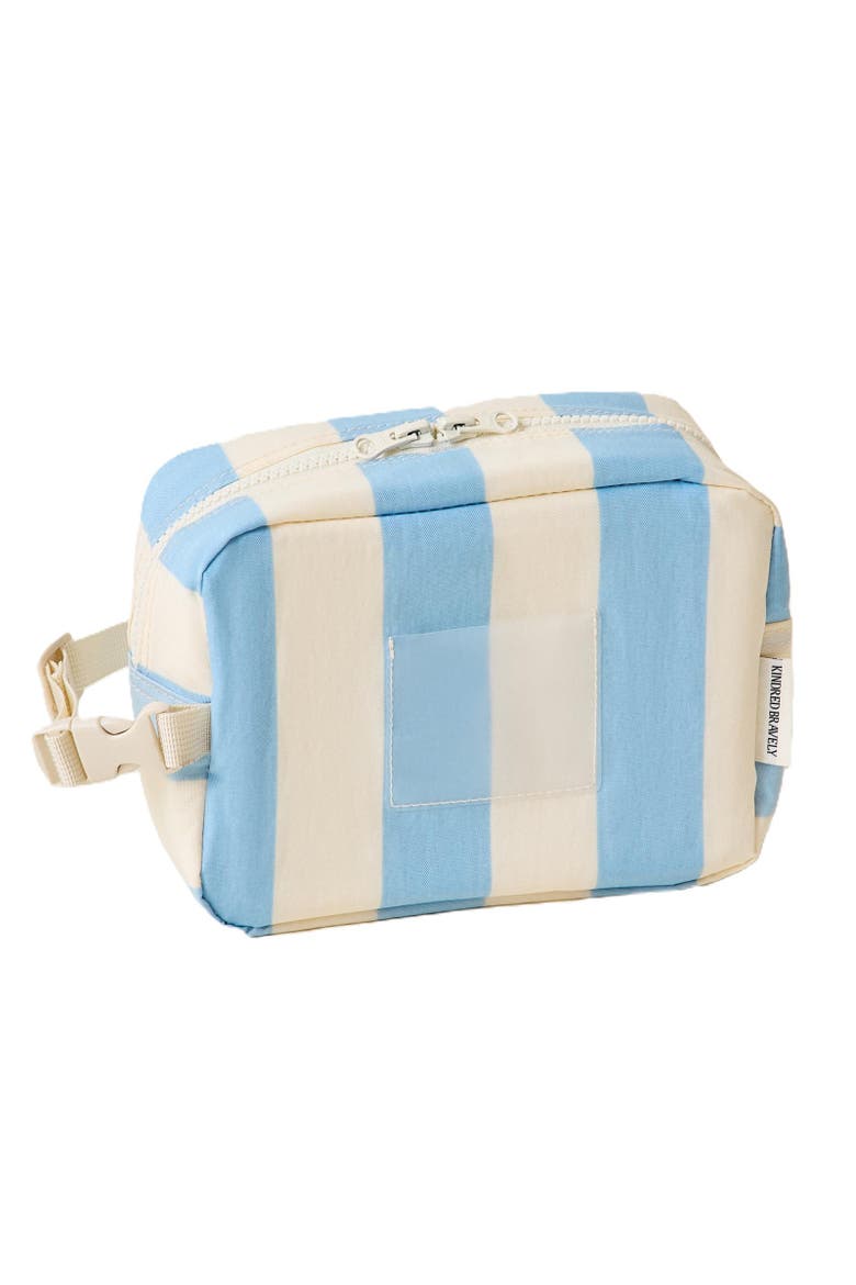 Mini Cooler Bag, Main, color, Blue Wide Stripe