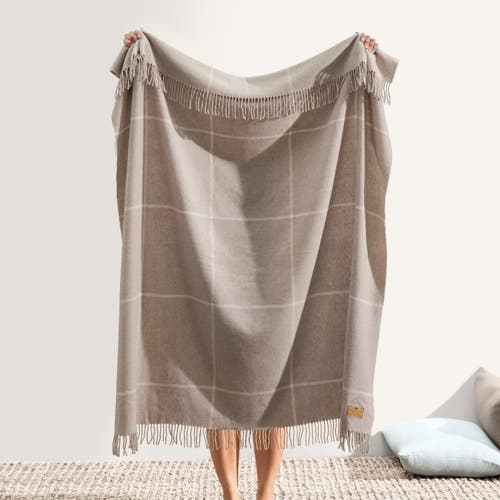 Lands Downunder Window Cashmere Throw In Brown