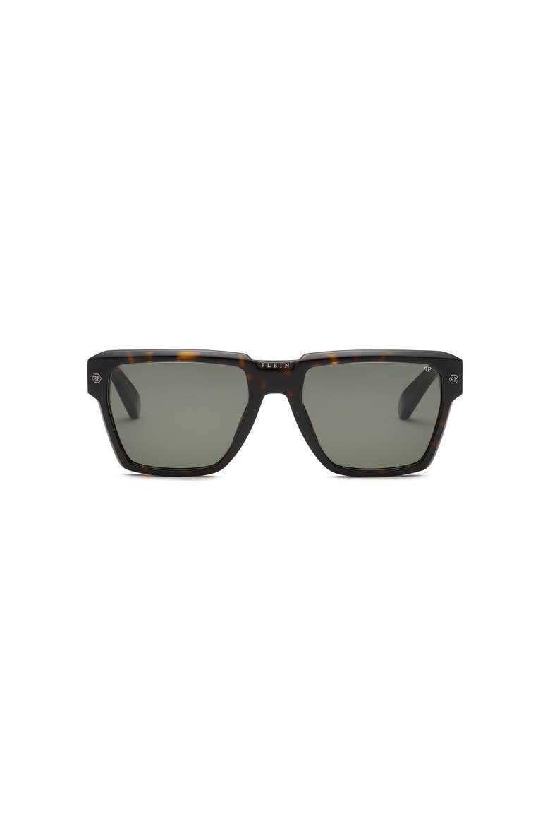 Sunglasses Plein Stud Men, Main, color, brown