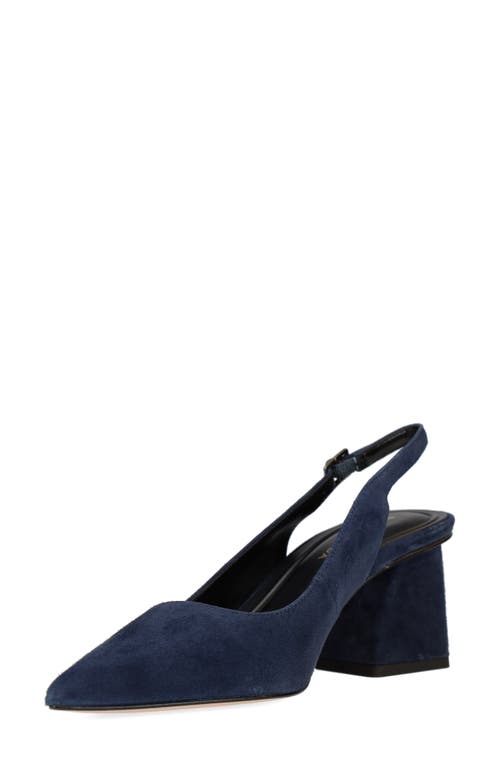 Pelle Moda Florin Slingback Pointed Toe Pump In Blue