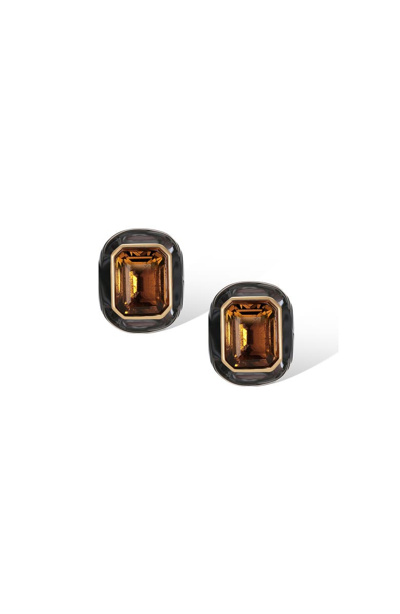 RC RETRO CHIC Roman Night Ear Studs, Main, color, Brown & Black