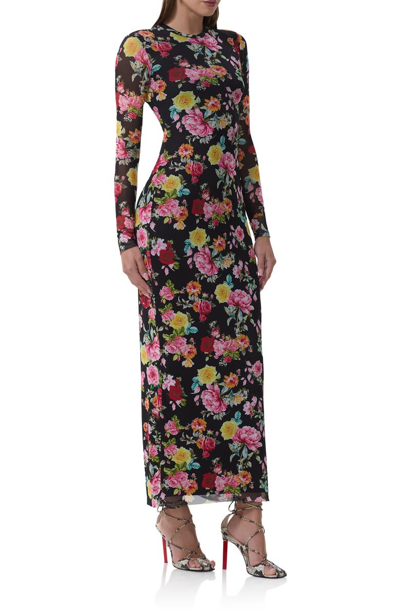 AFRM Didi Printed Long Sleeve Mesh Maxi Dress, Alternate, color, Spring Rose